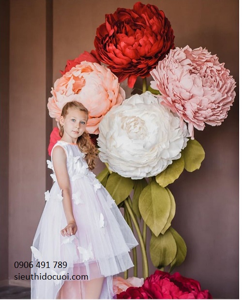 Hoa voan trang trí studio Hoa voan trang trí studio