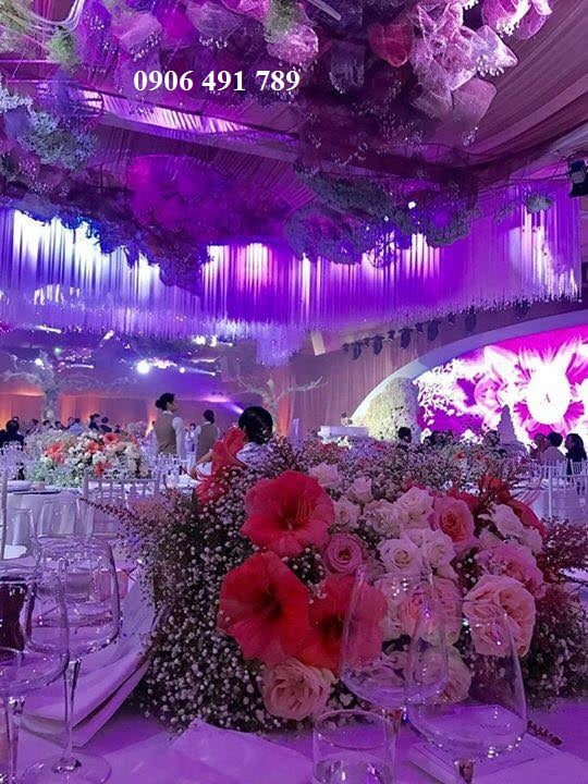 Rèm chỉ, màn chỉ trang trí Rèm chỉ, màn chỉ trang trí