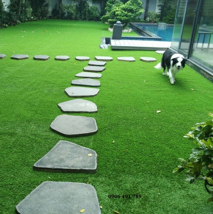 Thảm cỏ nhựa lót sàn Thảm cỏ nhựa lót sàn