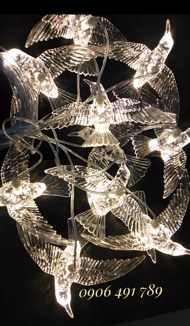 Chim led trong suốt Chim led trong suốt