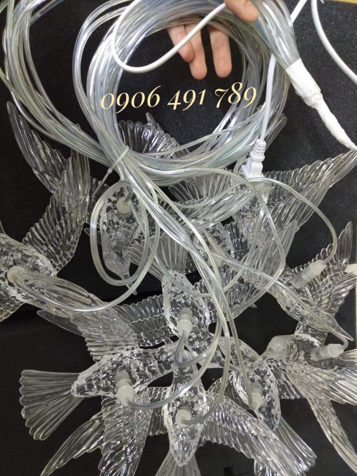 Chim led trong suốt Chim led trong suốt