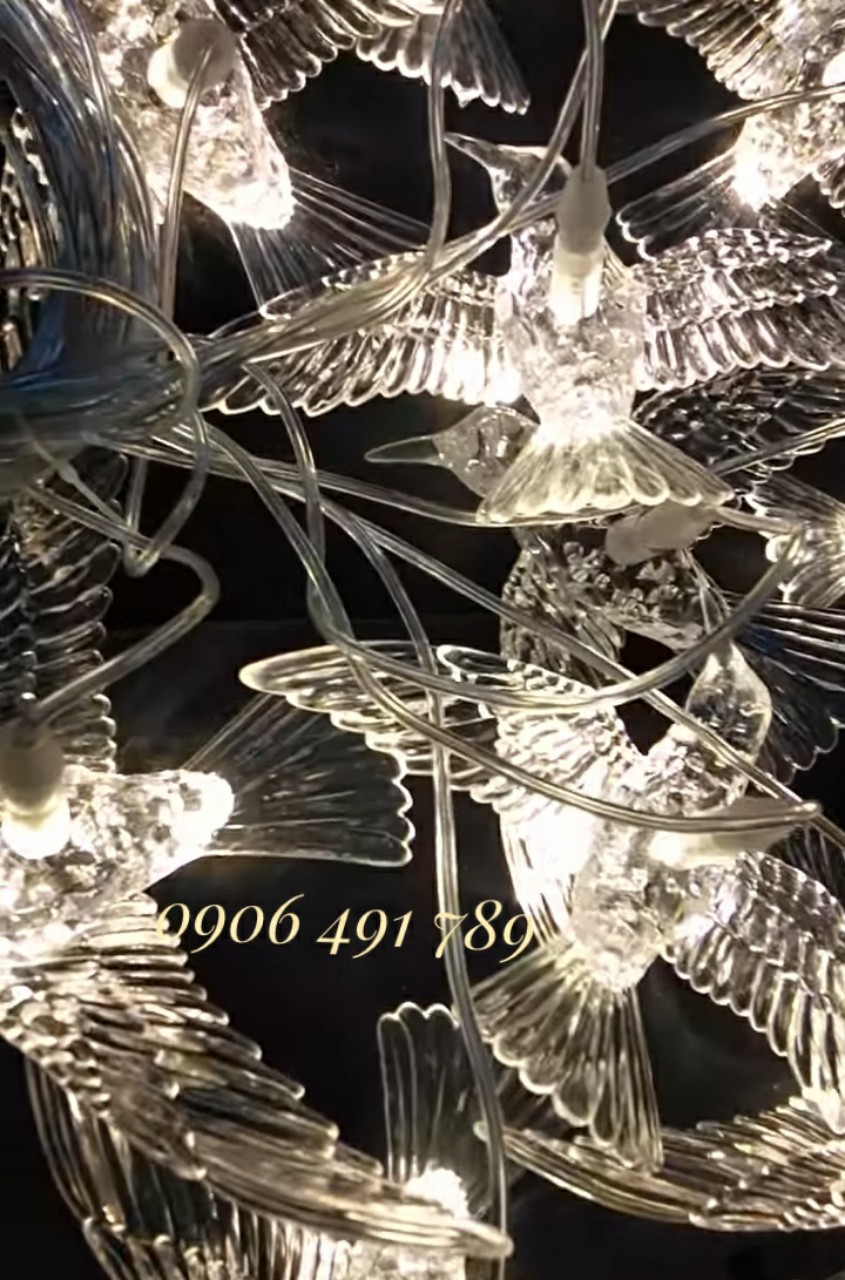 Chim led trong suốt Chim led trong suốt