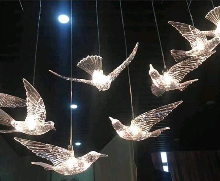 Chim led trong suốt Chim led trong suốt