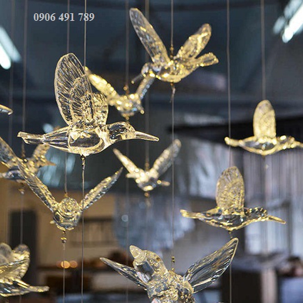 Chim ruồi trong suốt trang trí