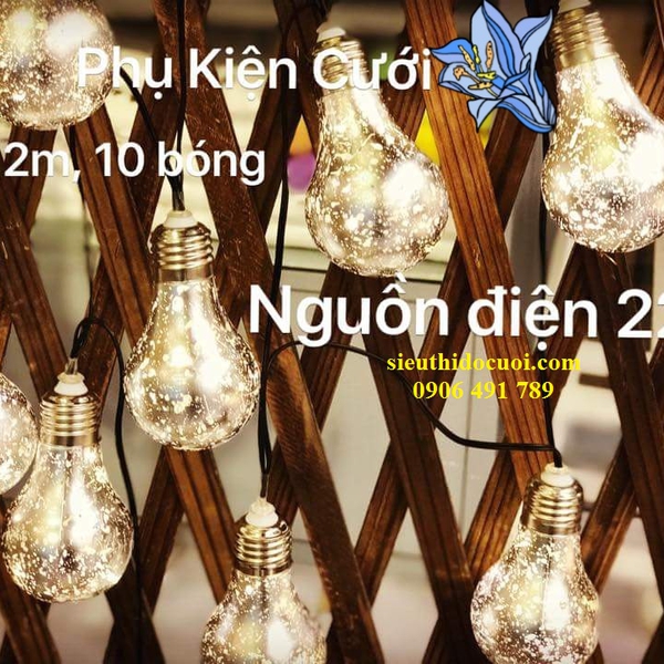 Dây đèn led bóng tròn