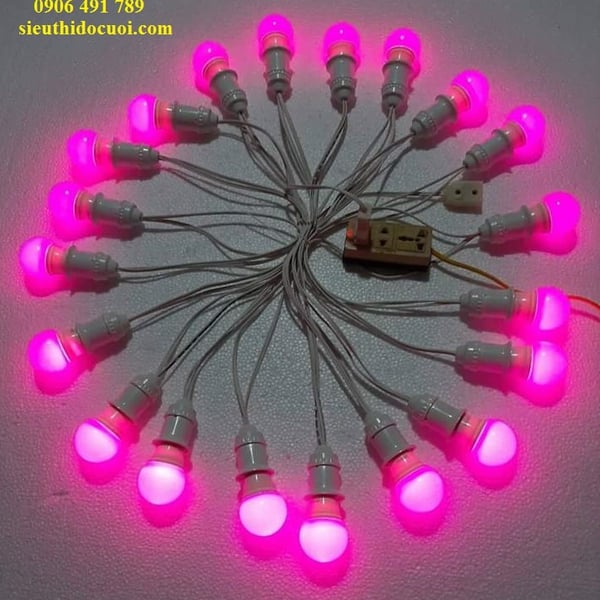 Dây led 10m 20 bóng 3w, 5w