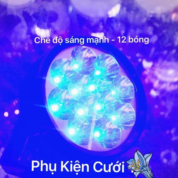 Đèn led nhuộm màu vật dụng trang trí