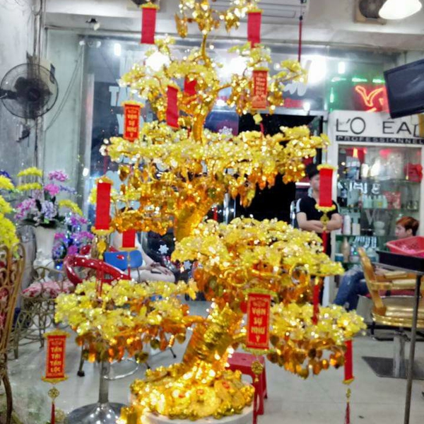 Hoa mai pha lê