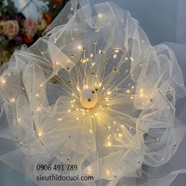 Hoa voan khổng lồ