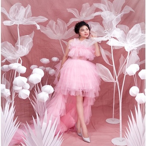 Hoa voan trang trí studio, hoa voan trang trí phim trường
