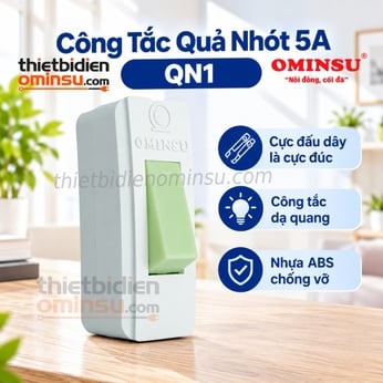 Công Tắc Quả Nhót 5A Cực Đúc QN1 OMINSU