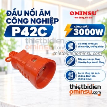 Đầu Nối Âm Công Nghiệp 3000W P42C Màu Cam OMINSU