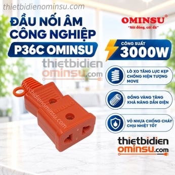 Đầu Nối Âm Công Nghiệp Siêu Chịu Tải 3000W P36C OMINSU