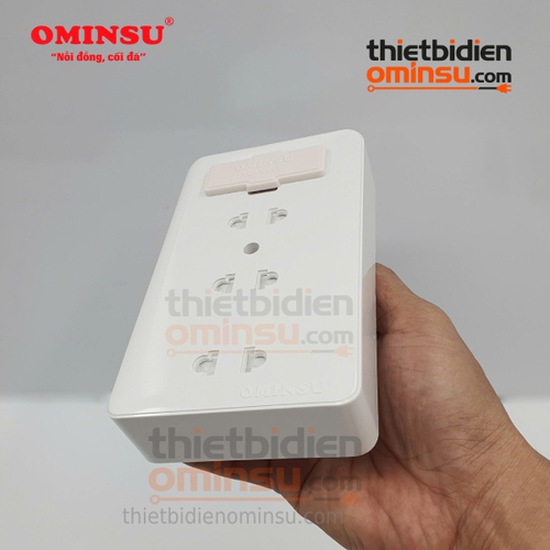 Bảng Điện Giả Âm 3 Lỗ Cắm GA05 OMINSU