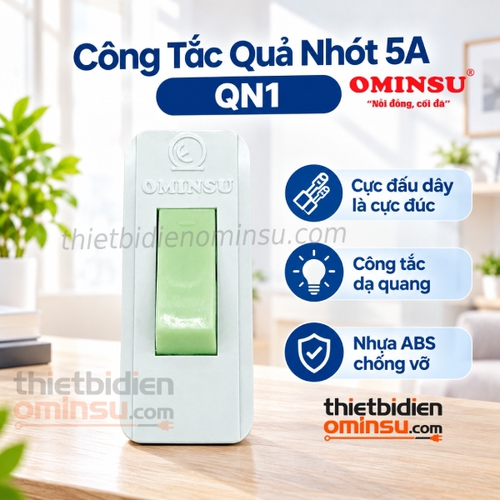 Công Tắc Quả Nhót 5A Cực Đúc QN1 OMINSU