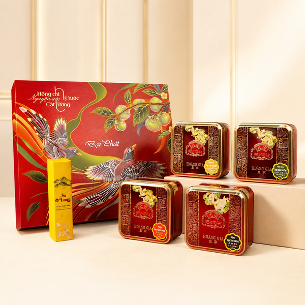 Lễ Hộp Hảo Hạng 204