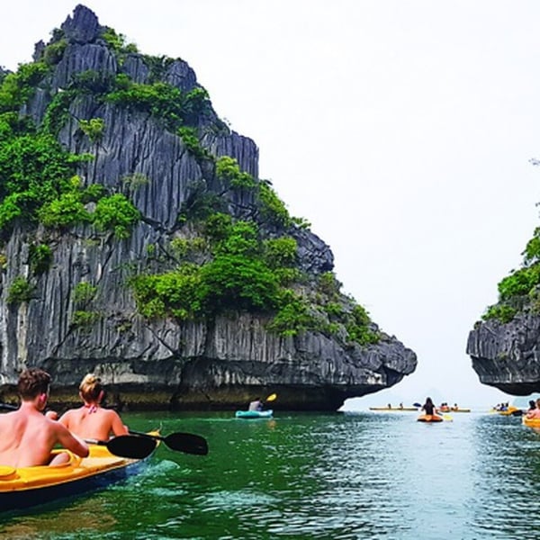 Tour Vịnh Lan Hạ nửa ngày