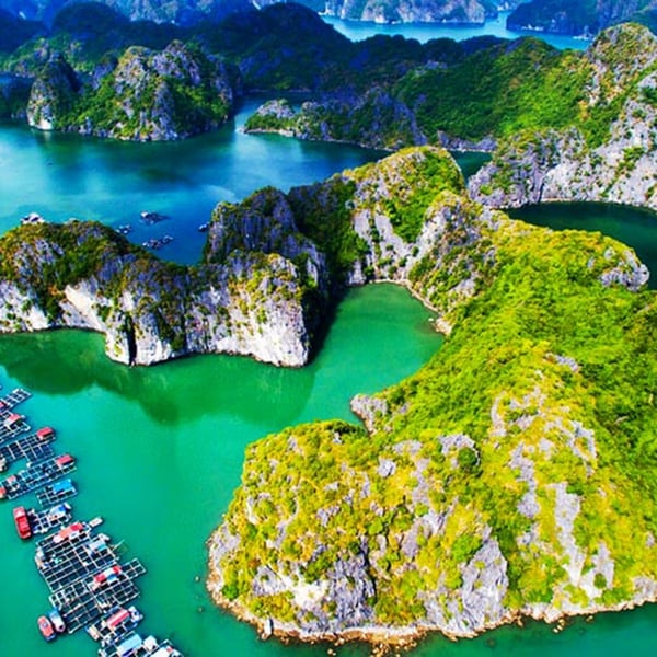 Tour Cát Bà – Lan Hạ 2 ngày 1 đêm