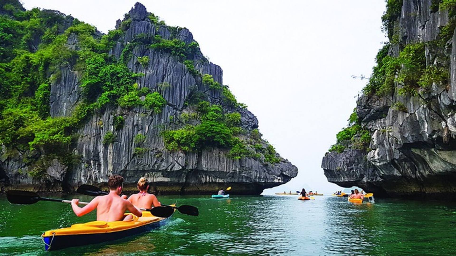 Tour Vịnh Lan Hạ nửa ngày