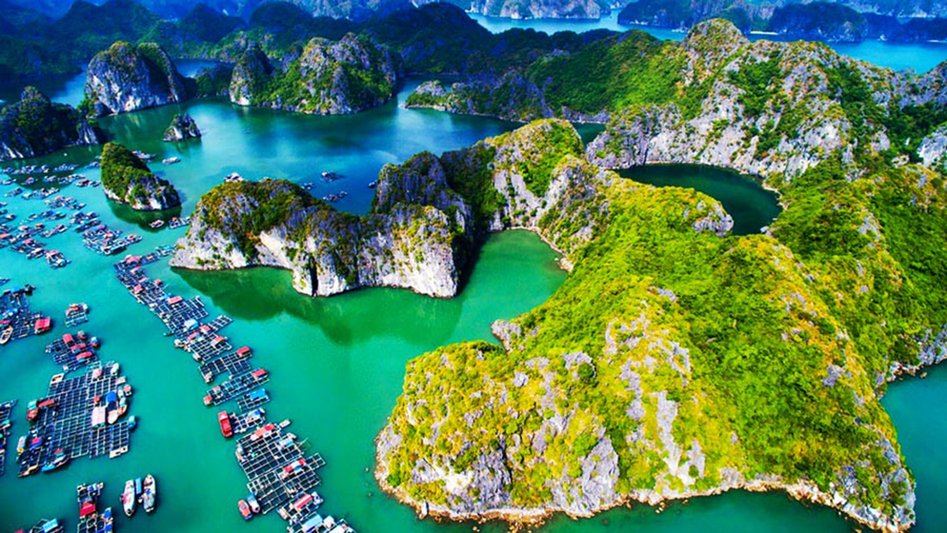 Tour Cát Bà – Lan Hạ 2 ngày 1 đêm