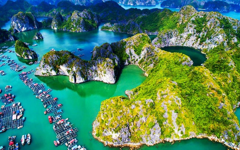 Tour Cát Bà – Lan Hạ 2 ngày 1 đêm