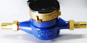 Hỏi đồng hồ nước có van một chiều không ?