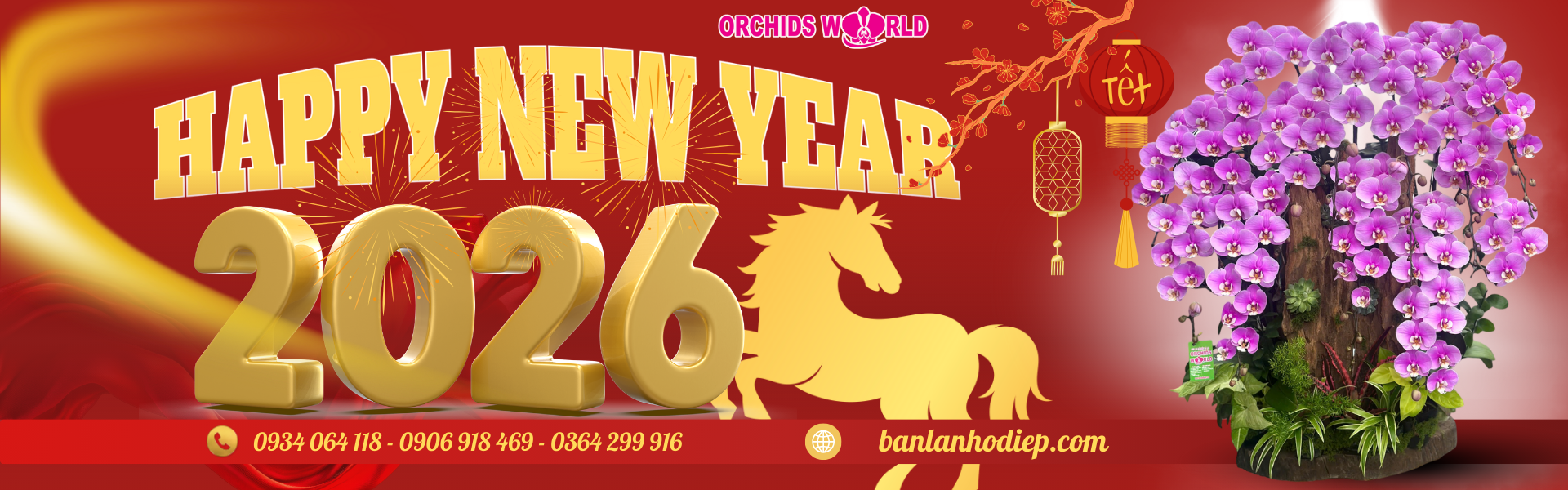 Lan Hồ Điệp Orchids World