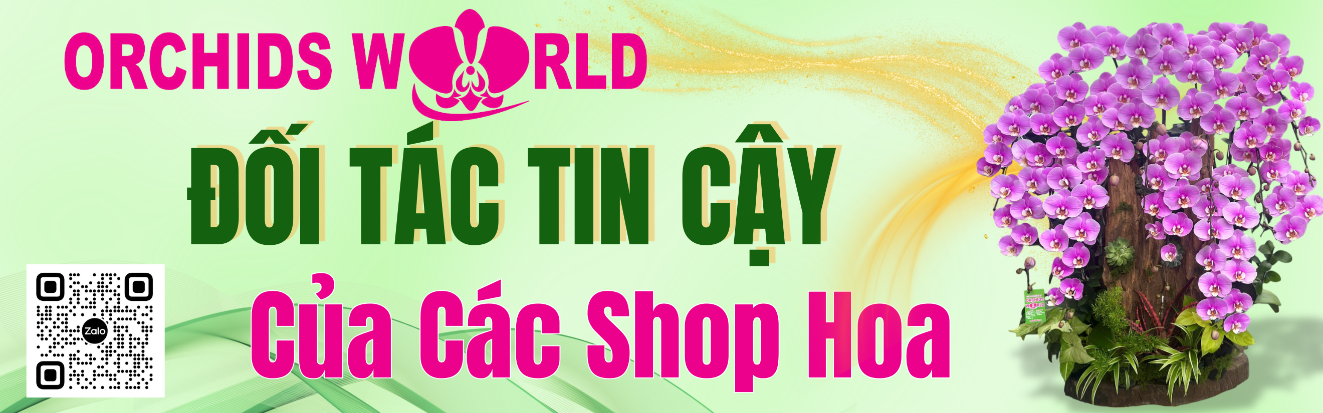 Lan Hồ Điệp Orchids World