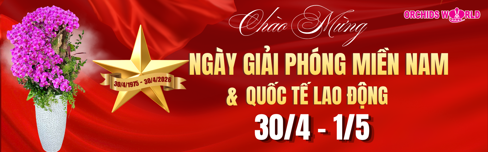 Lan Hồ Điệp Orchids World