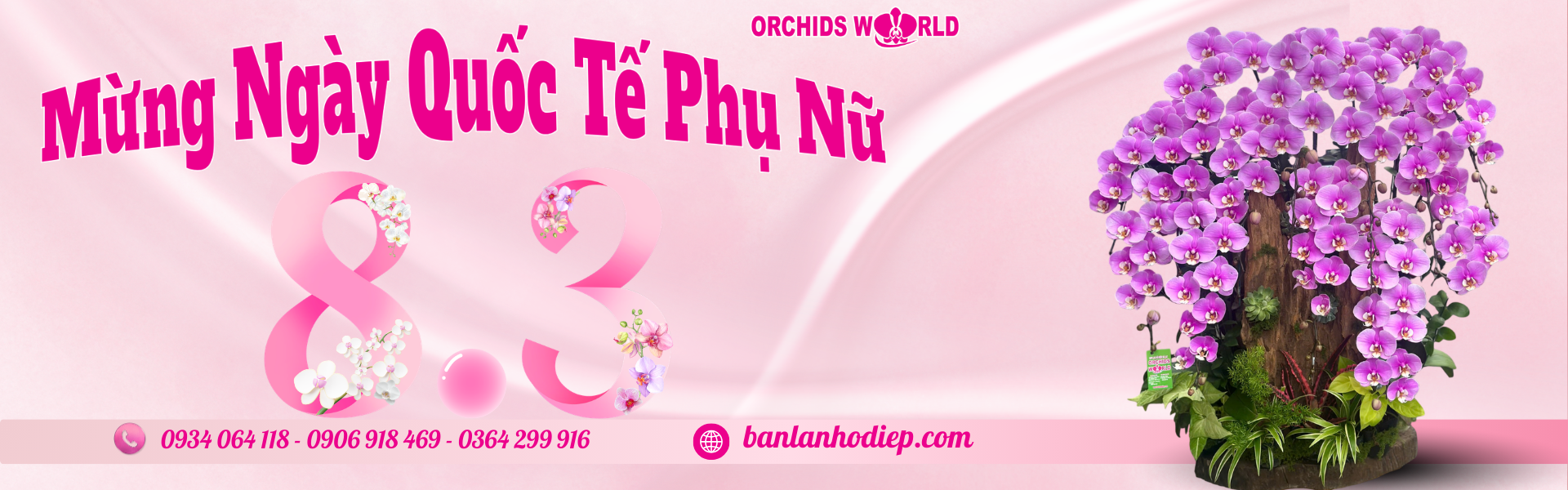Lan Hồ Điệp Orchids World