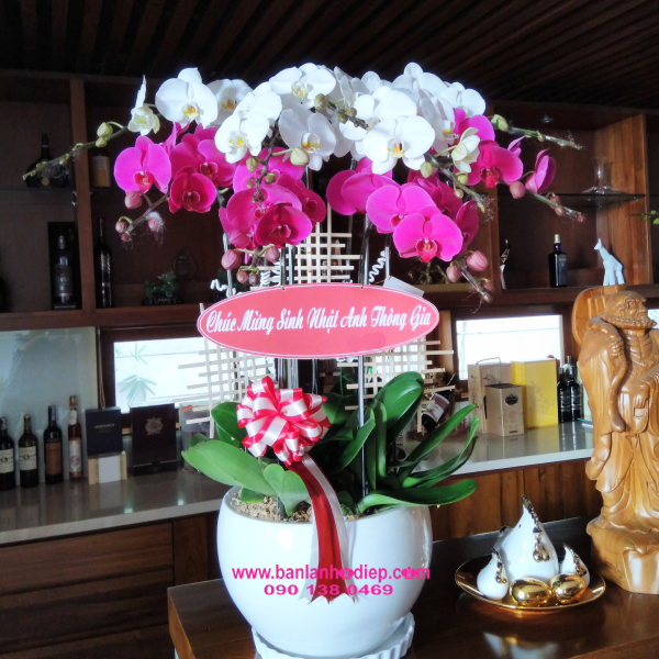 Cách Sử Dụng GE Chuối