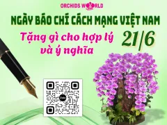 Ngày Báo chí Cách mạng Việt Nam 21/6 – Tặng gì cho hợp lý và đầy ý nghĩa?