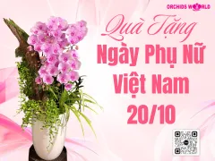 Quà tặng ngày Phụ Nữ Việt Nam 20/10 – Thay lời tri ân gửi đến một nửa yêu thương