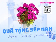 Quà Tặng Sếp Nam – Tinh Tế, Đẳng Cấp Và Ý Nghĩa