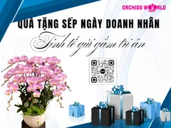 Quà Tặng Sếp Ngày Doanh Nhân – Tinh Tế Gửi Gắm Tri Ân