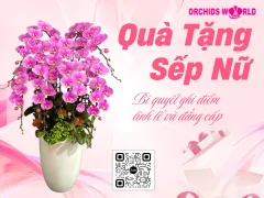 Quà Tặng Sếp Nữ – Bí Quyết Ghi Điểm Tinh Tế Và Đẳng Cấp