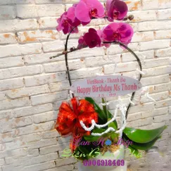 Chậu Lan Hồ Điệp Tím 2 Cành