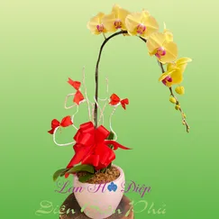 Chậu Lan Hồ Điệp 1 cành vàng