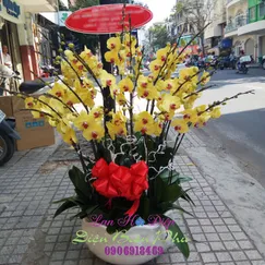 Chậu Lan Hồ Điệp Vàng 22 Cành