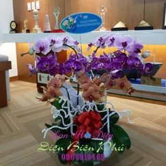 Hồ Điệp Cam Tím Trắng 9 Cành