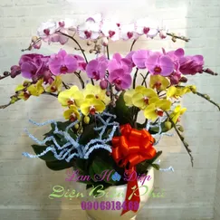 Hồ Điệp Vàng Hồng Trắng 12 Cành