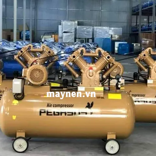 Máy Nén Khí PEGASUS TM-V-0.67/8-500L(380V)