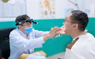 CHĂM SÓC SAU CẮT AMIDAN CHĂM SÓC SAU CẮT AMIDAN