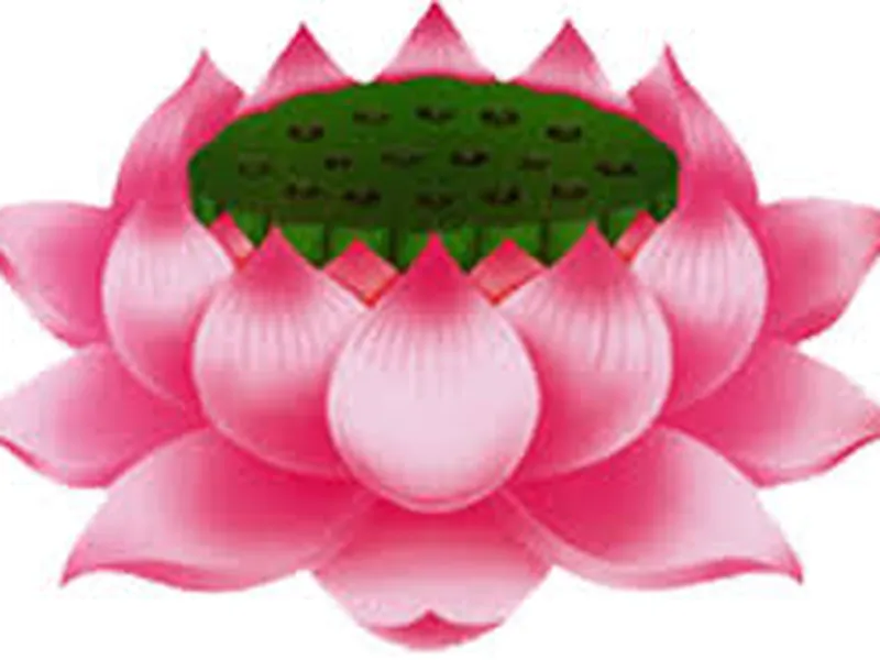 KHÁM CHỮA BỆNH TỪ THIỆN TẠI CHÙA KIỀU ĐÀM