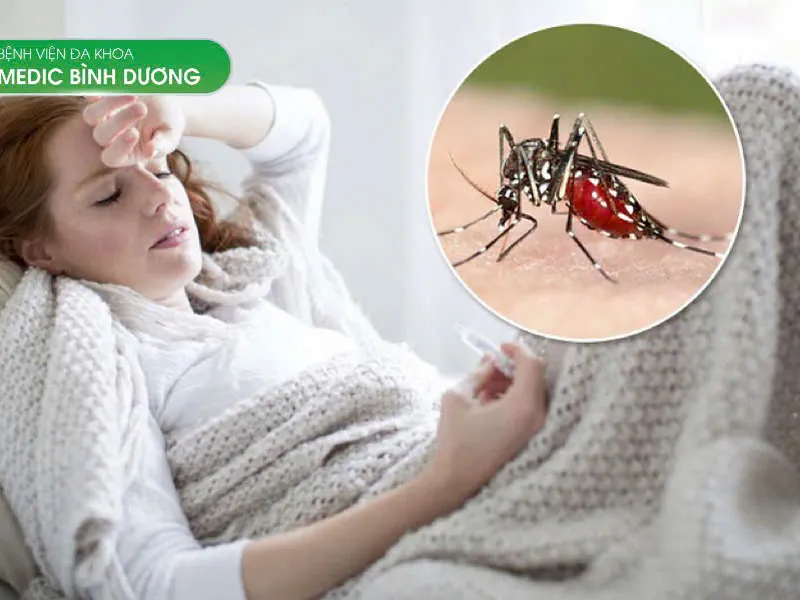 PHÒNG BỆNH SỐT RÉT HIỆU QUẢ: NGUYÊN NHÂN, TRIỆU CHỨNG VÀ CÁCH ĐIỀU TRỊ