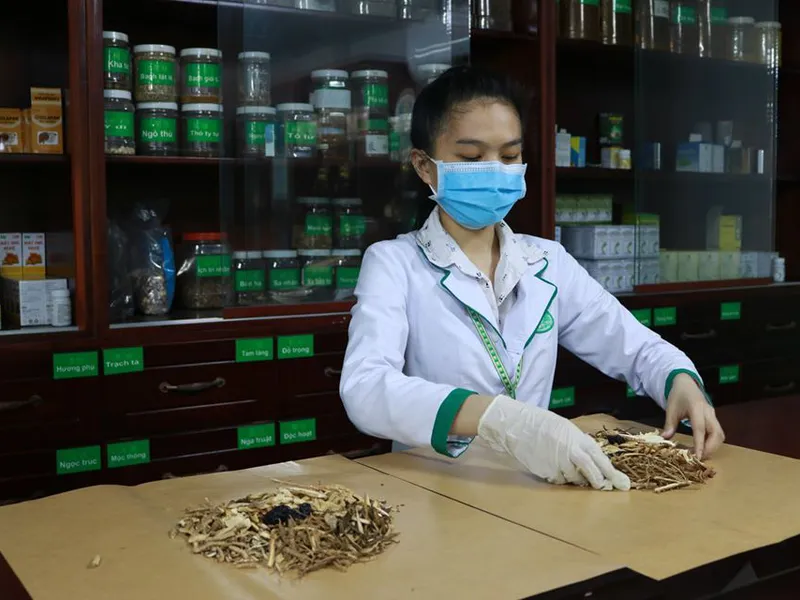 ĐIỀU TRỊ SUY NHƯỢC CƠ THỂ BẰNG ĐÔNG Y - BÀI THUỐC TRỊ BỆNH TỪ GỐC
