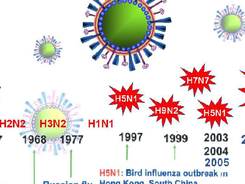 VIRUS CORONA – H5N1: KHỦNG HOẢNG NHÂN ĐÔI