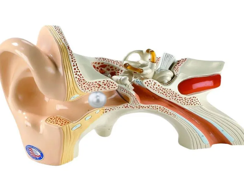 DỊ VẬT TAI VÀ NHỮNG ĐIỀU CẦN BIẾT