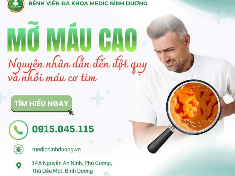 MỠ MÁU CAO LÀ GÌ? NGUYÊN NHÂN, TRIỆU CHỨNG, BIẾN CHỨNG VÀ CÁCH ĐIỀU TRỊ HIỆU QUẢ
