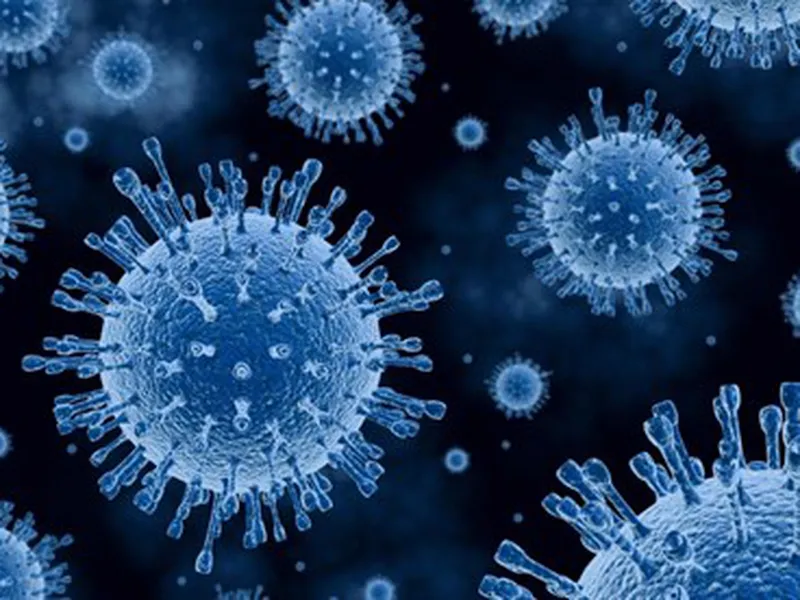 DỊCH CÚM GIA CẦM NHÓM A LÀ GÌ?